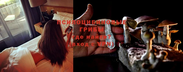 дживик Белокуриха