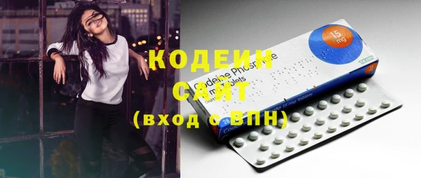 шишки Беломорск