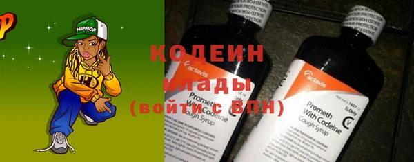 шишки Беломорск