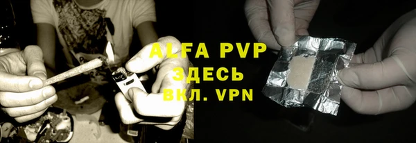 дживик Белокуриха