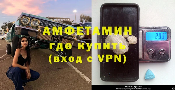шишки Беломорск
