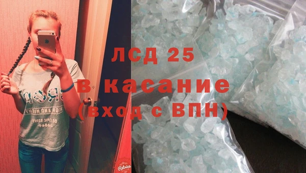 шишки Беломорск