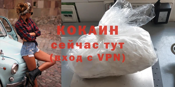 дживик Белокуриха
