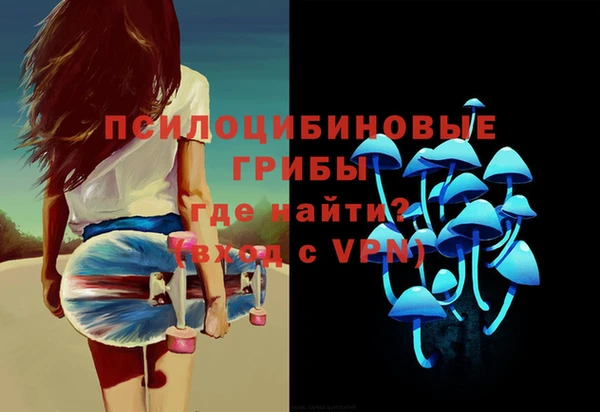 дживик Белокуриха