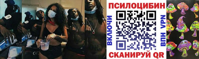 Галлюциногенные грибы мицелий  Кропоткин 